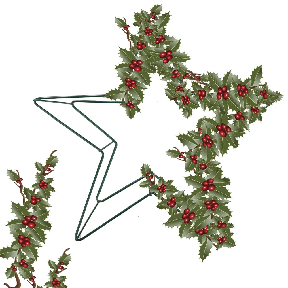 Personalizable Metal Wire Star - Wreath Form Wire 리뷰 및 가격