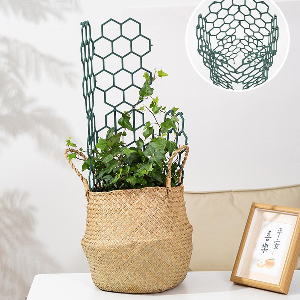 1/2/5Pcs Plastic Plant Support - Florist Supp 리뷰 및 가격