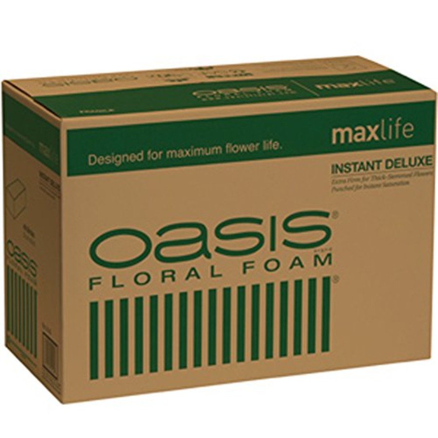 Oasis Instant Deluxe Floral Fo - Floral Foam Oasis 리뷰 및 가격