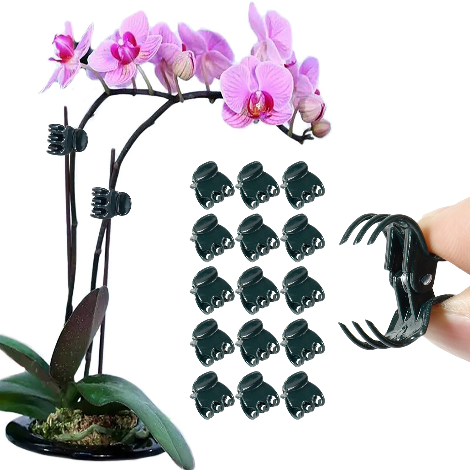 50/100Pcs Plant Clips Butterfl - Florist Supp 리뷰 및 가격