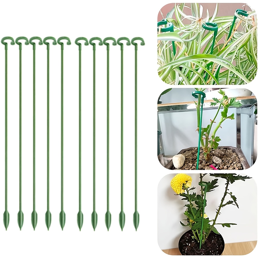 5/10PCS Plant Supports Stand B - Florist Supp 리뷰 및 가격
