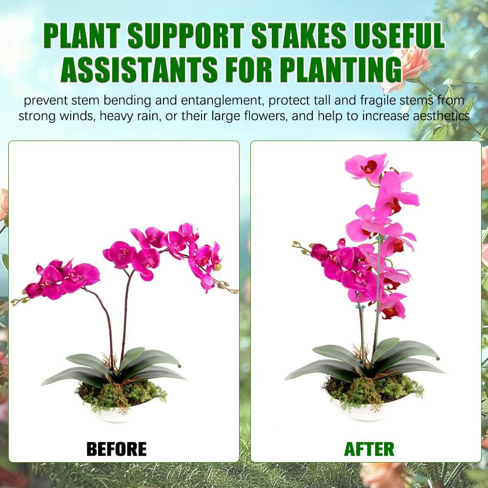 5/10PCS Plant Supports Stand B - Florist Supp 리뷰 및 가격