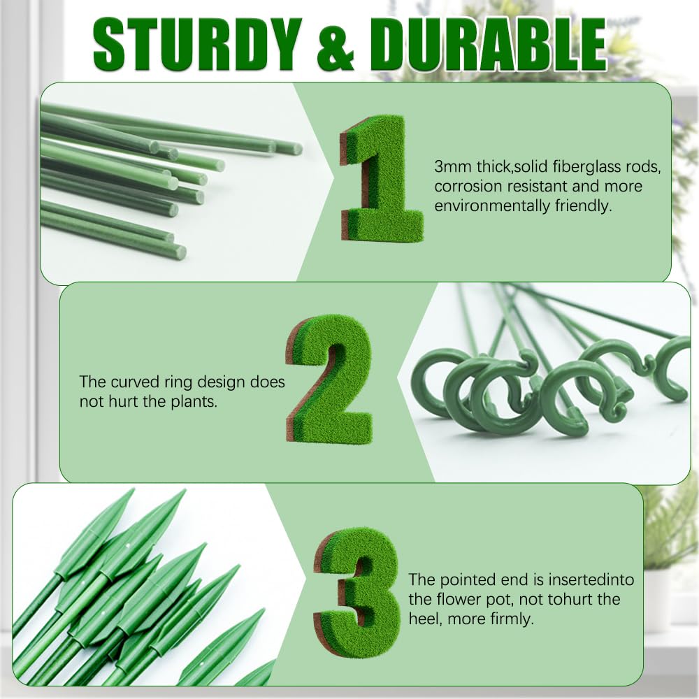 5/10PCS Plant Supports Stand B - Florist Supp 리뷰 및 가격