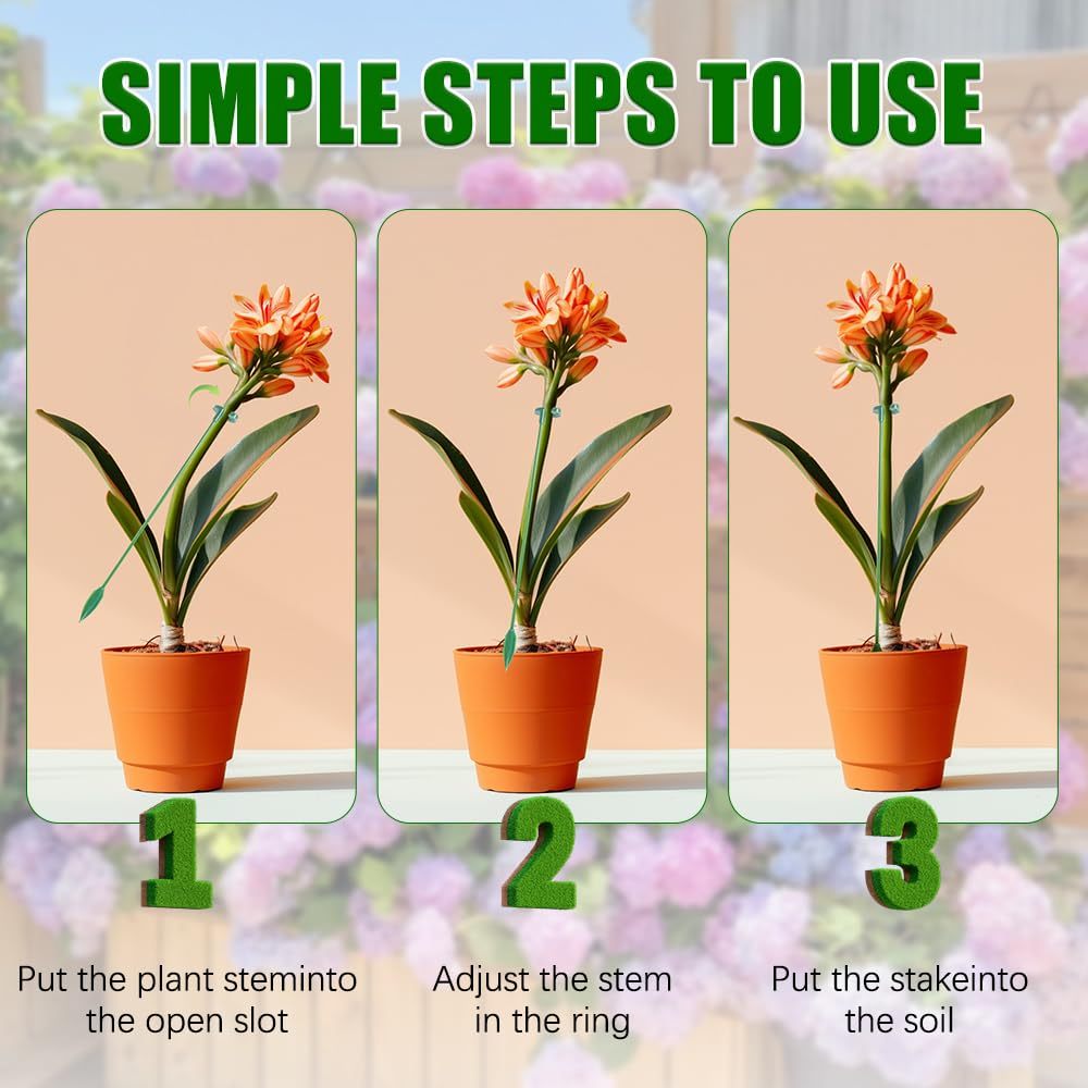 5/10PCS Plant Supports Stand B - Florist Supp 리뷰 및 가격