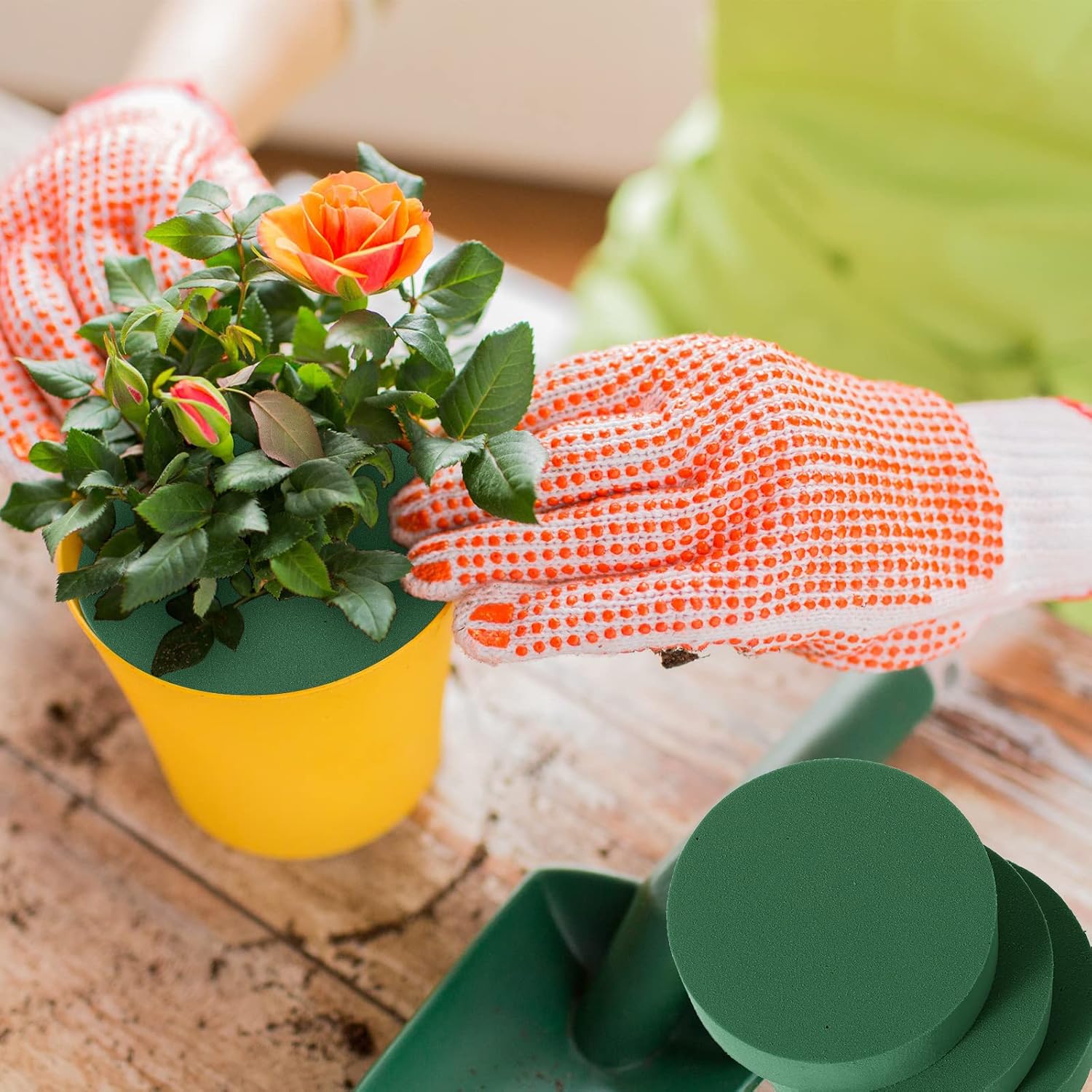 Green Floral Foam Blocks Round - Floral Foam Oasis 리뷰 및 가격