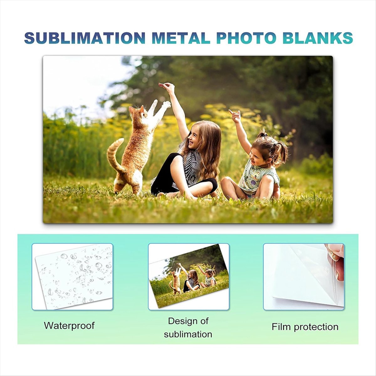 10PCS Sublimation Metal Photo  - B&J Florist Supply Nyc 리뷰 및 가격