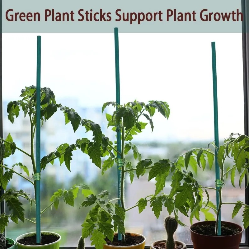 Plant Support Sticks Canes Bam - Florist Supp 리뷰 및 가격