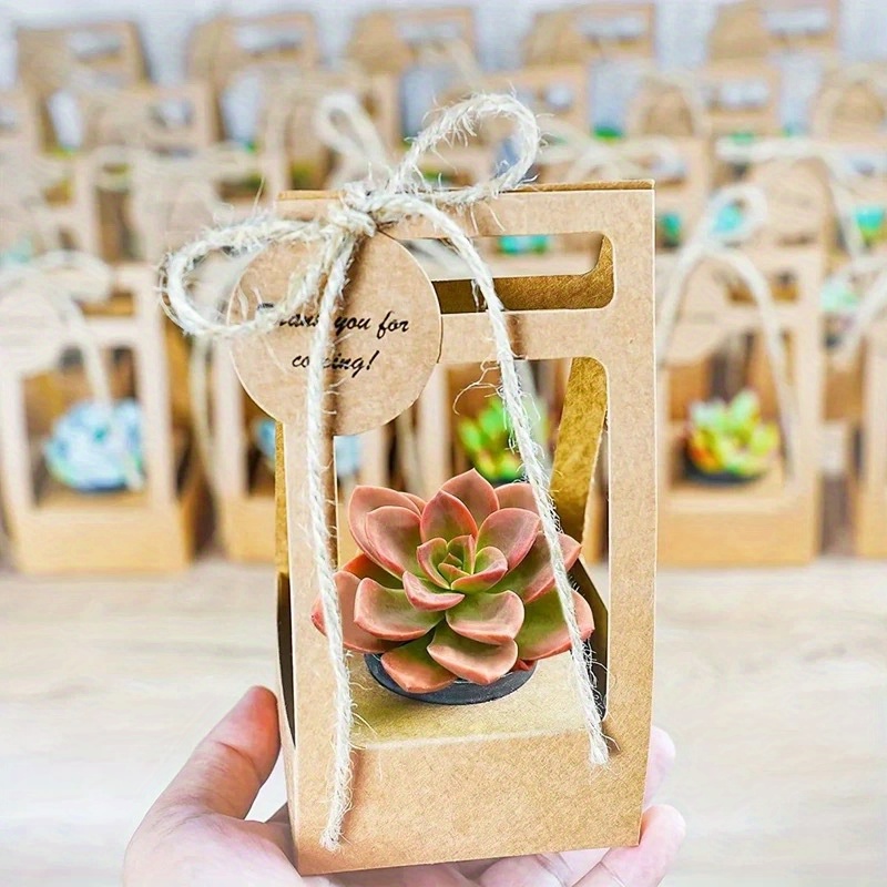 10Set Succulent Wrap Gift Bags - Flower Wrap Kraft 리뷰 및 가격