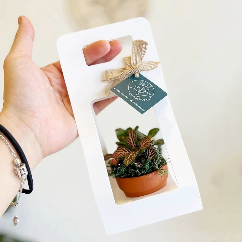 10Set Succulent Wrap Gift Bags - Flower Wrap Kraft 리뷰 및 가격