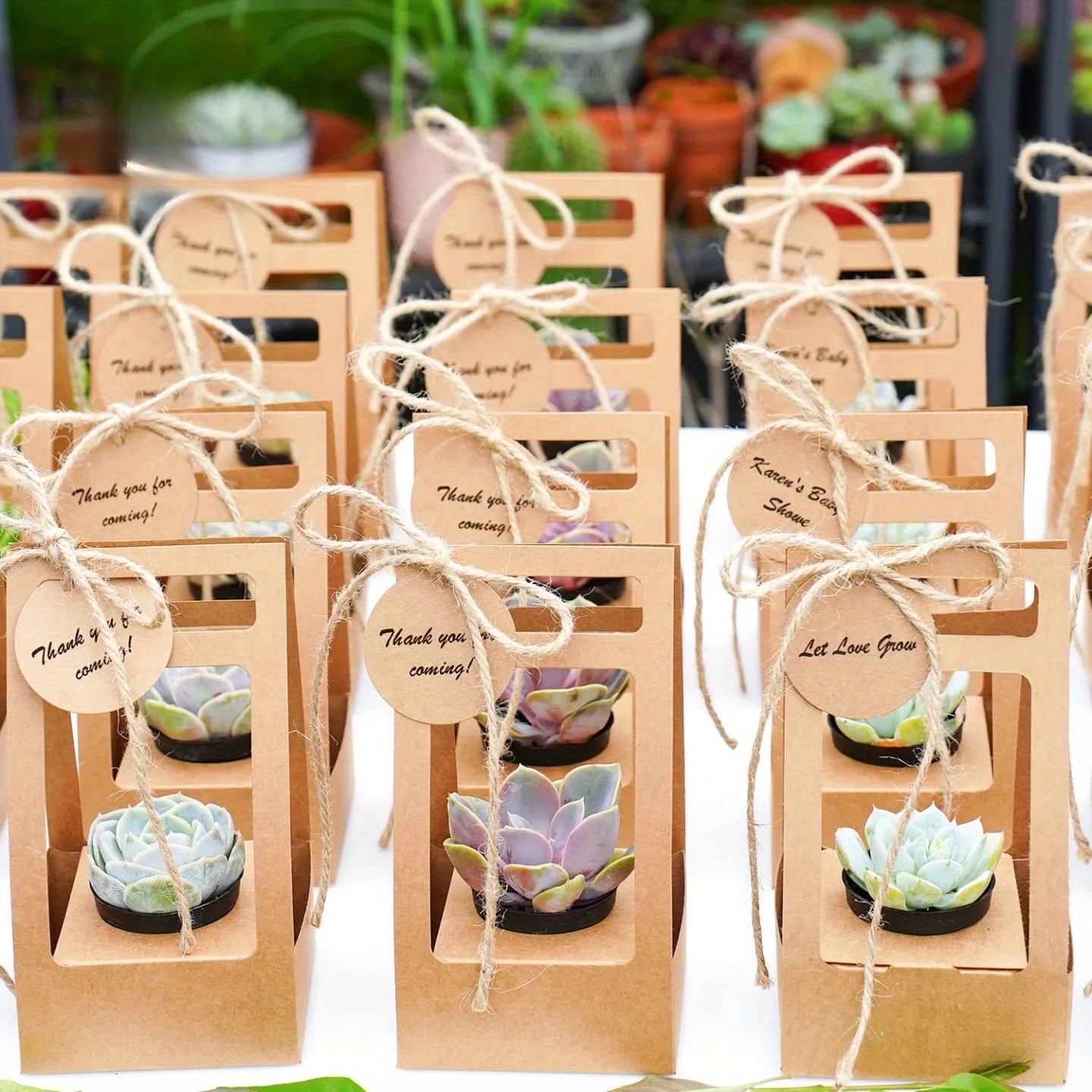 10Set Succulent Wrap Gift Bags - Flower Wrap Kraft 리뷰 및 가격