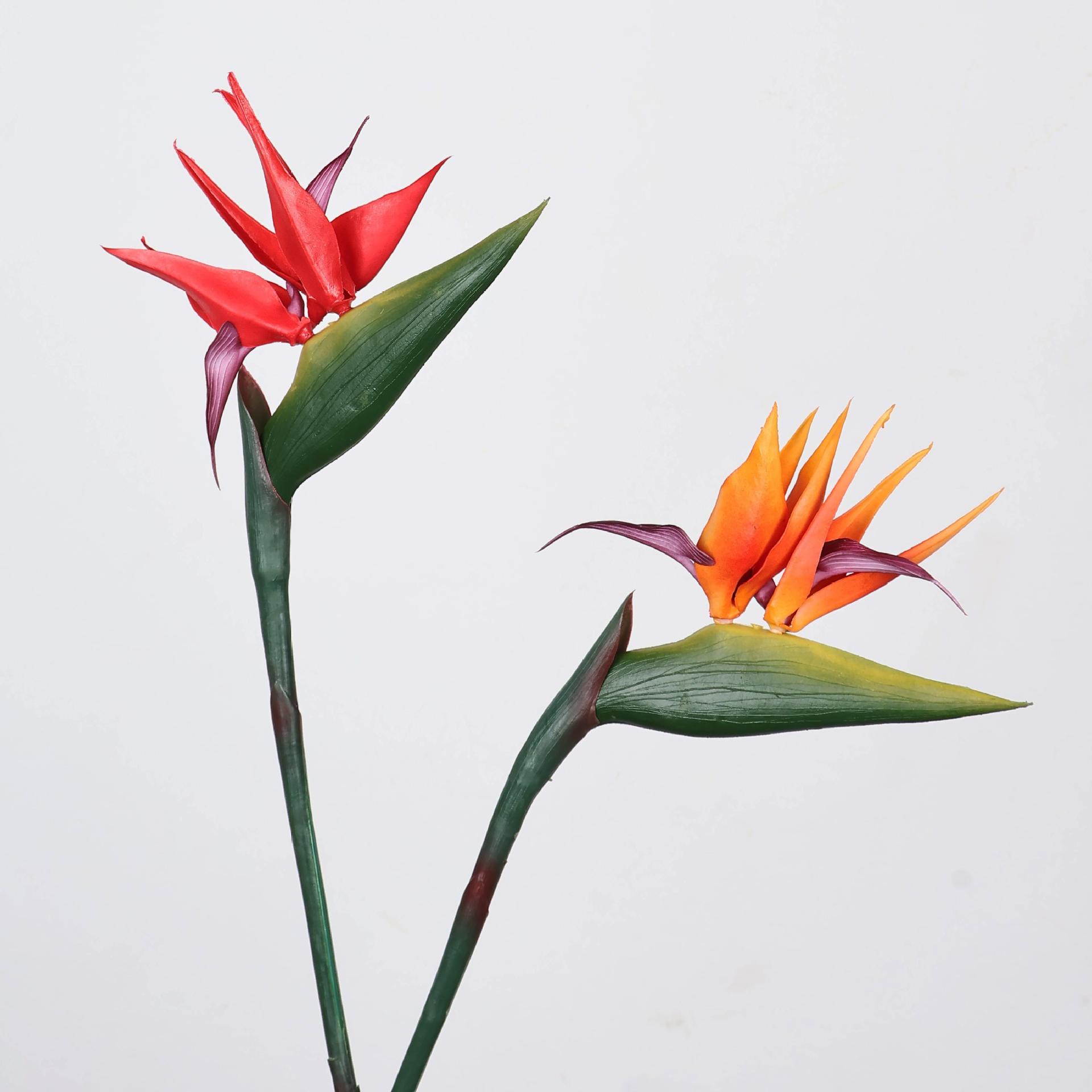 33 Inch Artificial Bird Of Par - Florist Supp 리뷰 및 가격