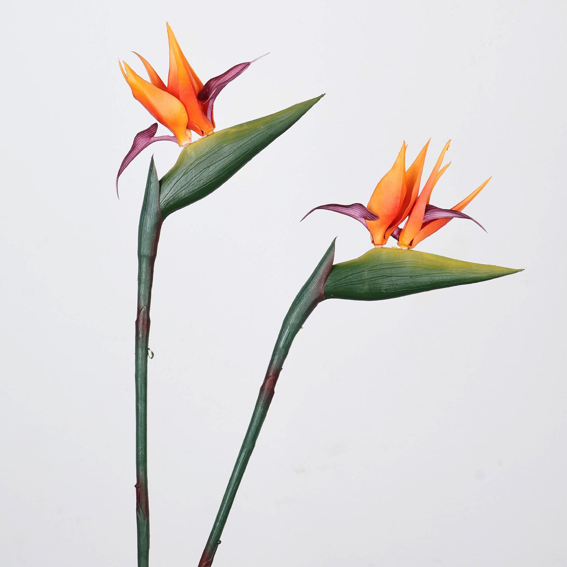 33 Inch Artificial Bird Of Par - Florist Supp 리뷰 및 가격