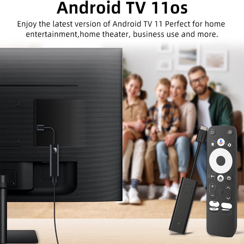 GD1 Android 11.0 TV ATV Quad C - B&J Florist Supply Nyc 리뷰 및 가격