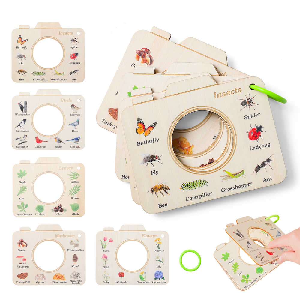 Wooden Camera Shape Nature Cog - Florist Supp 리뷰 및 가격