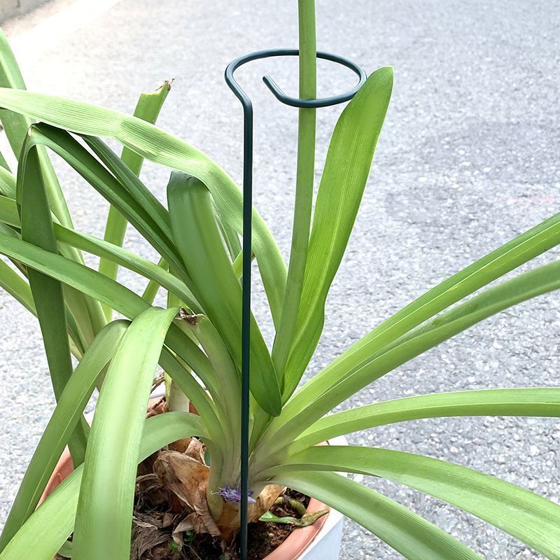 1-10pcs Metal Single Stem Plan - Florist Supp 리뷰 및 가격