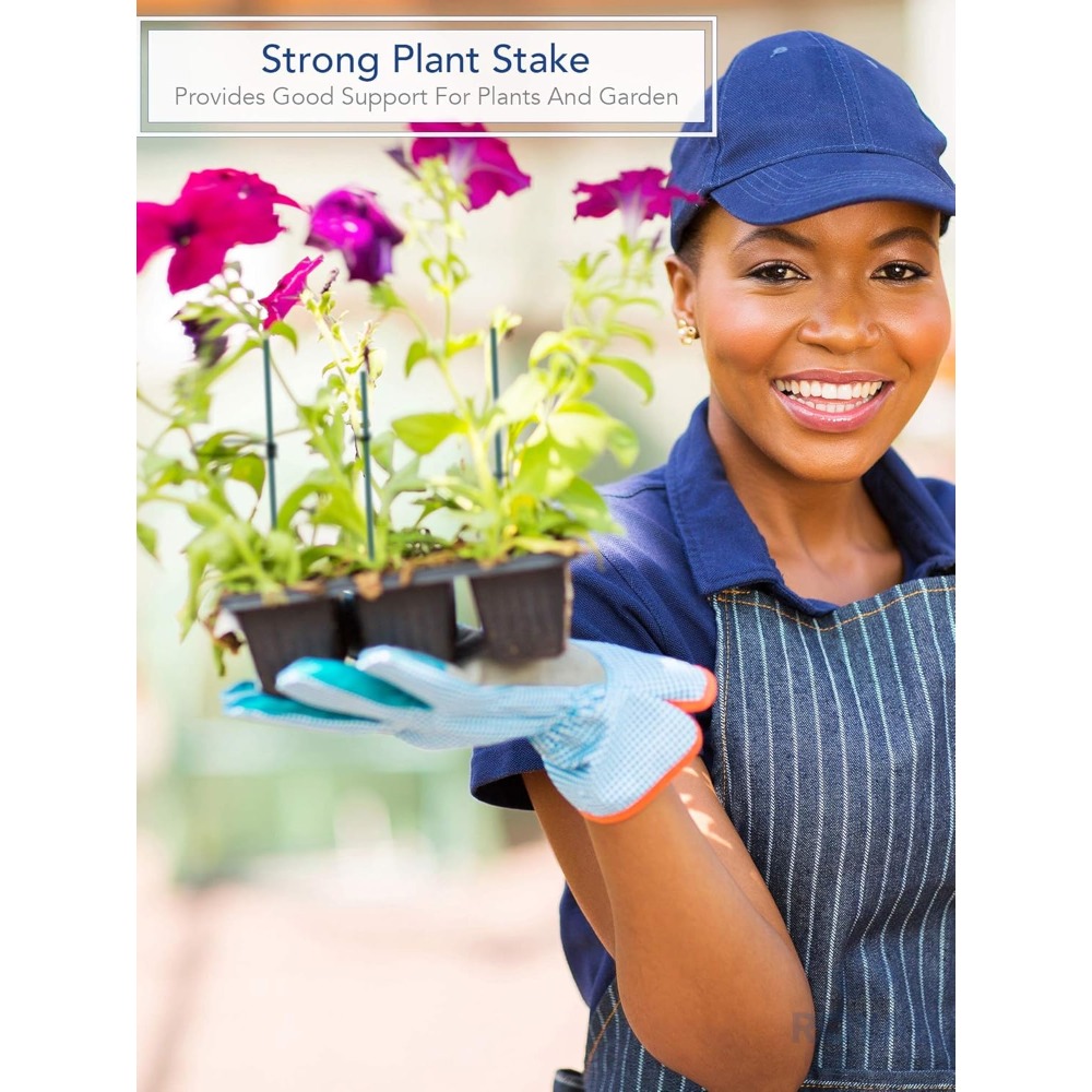 Green Wood Plant Stake, Floral - Floral Picks Wood 리뷰 및 가격