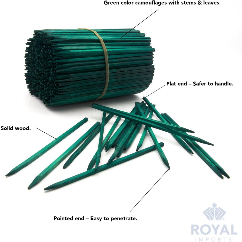 Green Wood Plant Stake, Floral - Floral Picks Wood 리뷰 및 가격