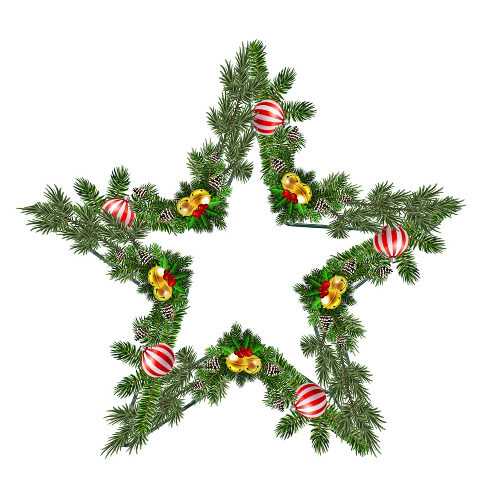 Floral Crafts Metal Wire Star  - Wreath Form Wire 리뷰 및 가격