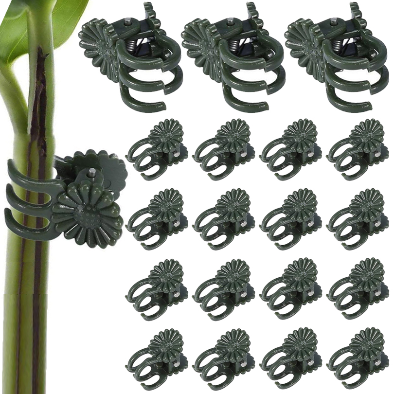 20/50/100PCS Plant Clips Vine  - Florist Supp 리뷰 및 가격