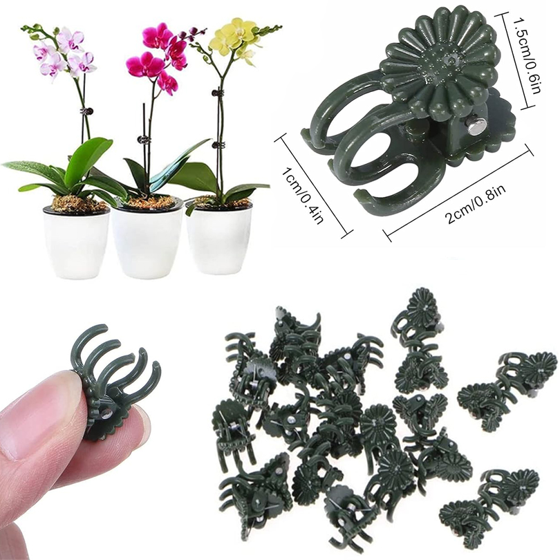 20/50/100PCS Plant Clips Vine  - Florist Supp 리뷰 및 가격