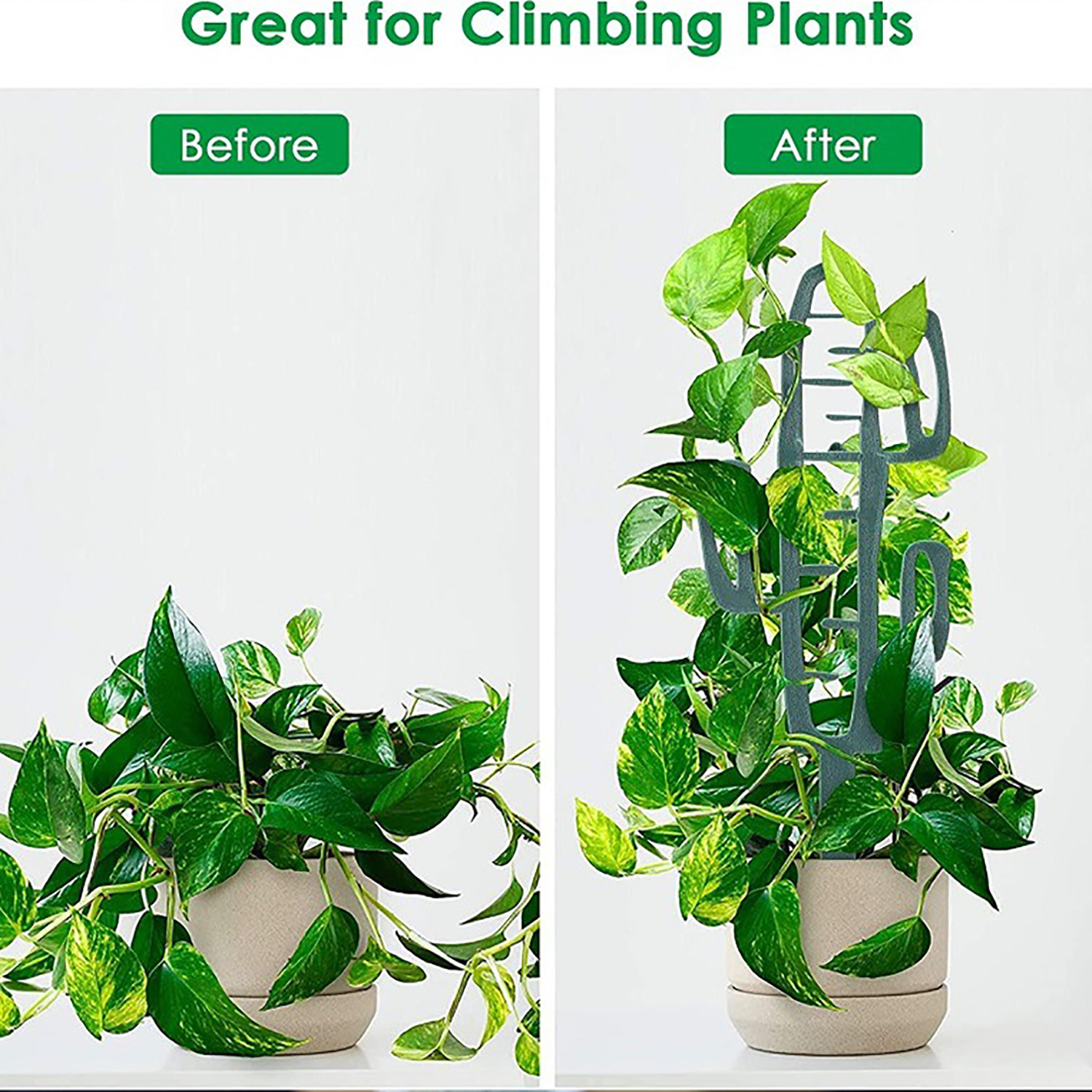 Plant Climbing Support Stand F - Florist Supp 리뷰 및 가격