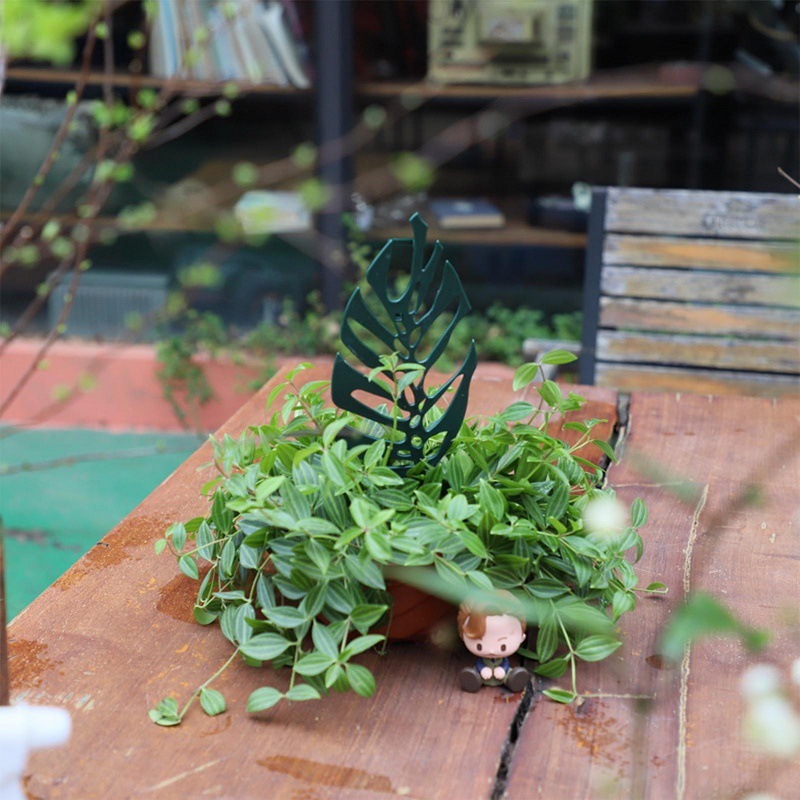 Plant Climbing Support Stand F - Florist Supp 리뷰 및 가격