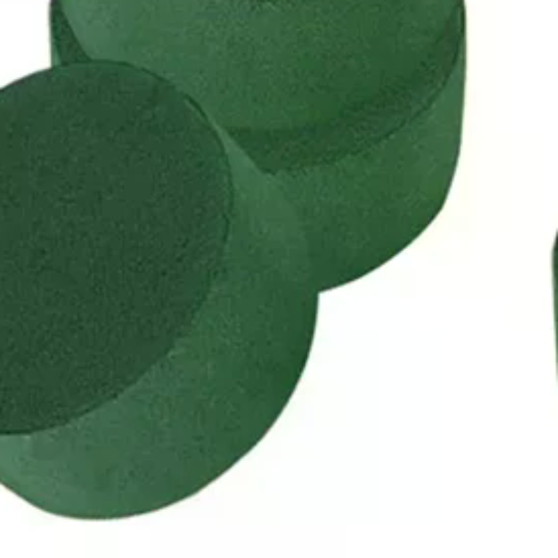 Floral Mud Foam Cylinders Oasi - Floral Foam Oasis 리뷰 및 가격