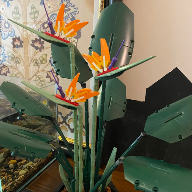 1378PCS Paradise Bird Potted P - Florist Supp 리뷰 및 가격